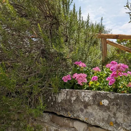Casa Degli Ulivi - Pool - Panorama Porch - Bbq * Lisciano Niccone