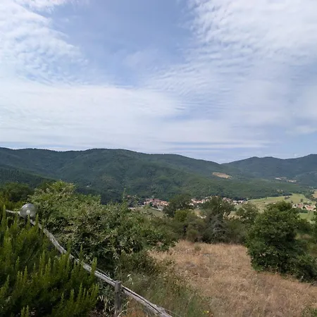 Casa Degli Ulivi - Pool - Panorama Porch - Bbq Lisciano Niccone